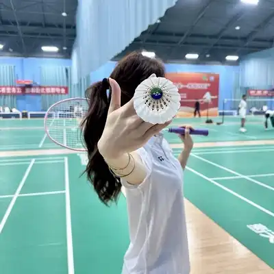 龙诗致